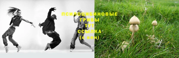 эйфоретик Корсаков