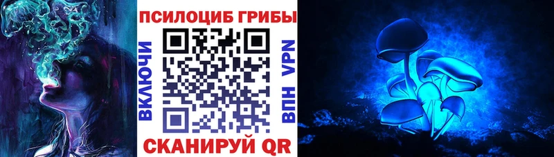 Псилоцибиновые грибы Cubensis  дарнет шоп  мориарти клад  Рубцовск 